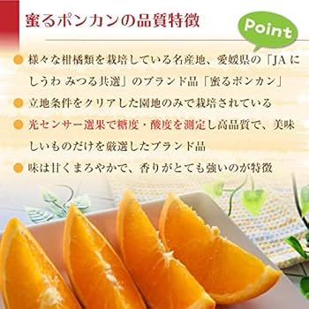 Amazon.co.jp: 蜜る ポンカン 約1.5kg 愛媛県西宇和産 JAにし
